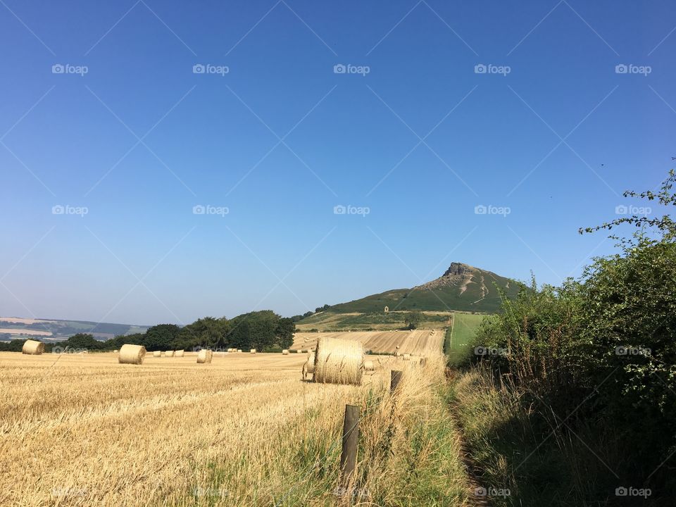 English Countryside View 