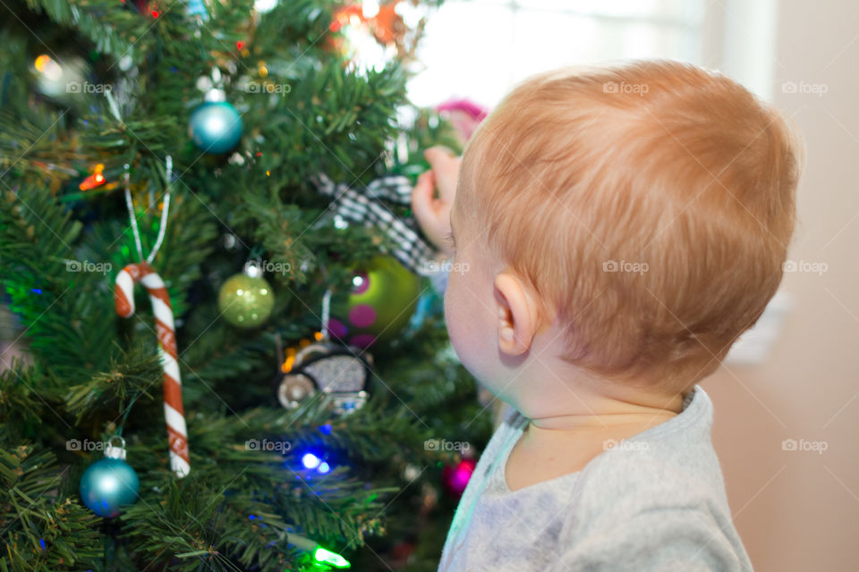 Checking out The ornaments