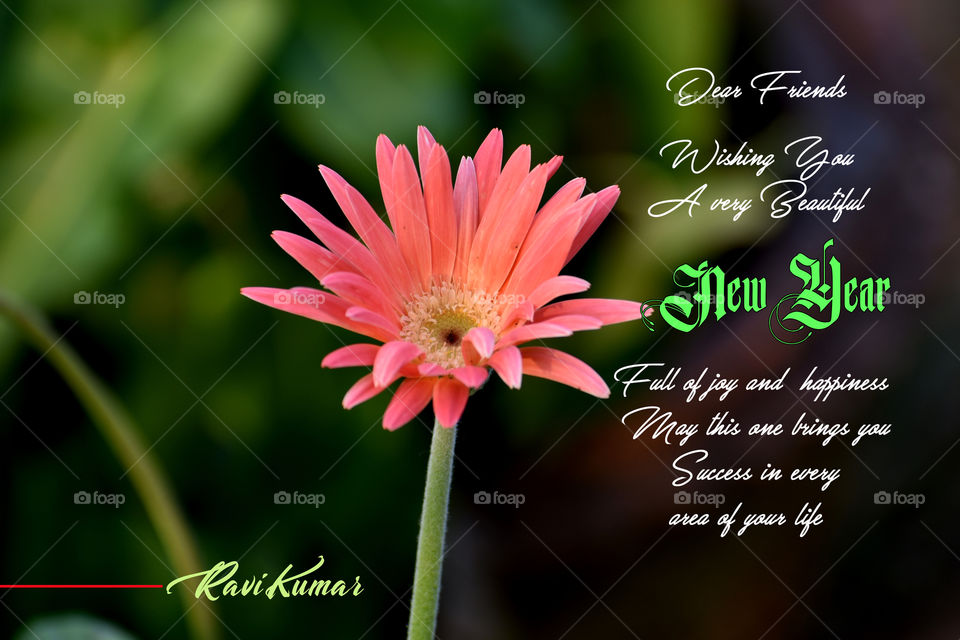 A New year greetings with lovely Flower