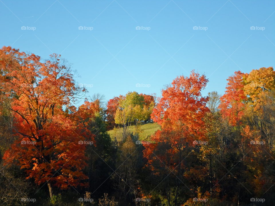 Autumn over the hills