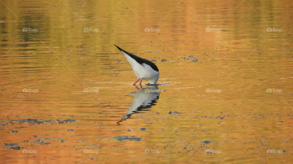 Incredible reflection #Vadodara