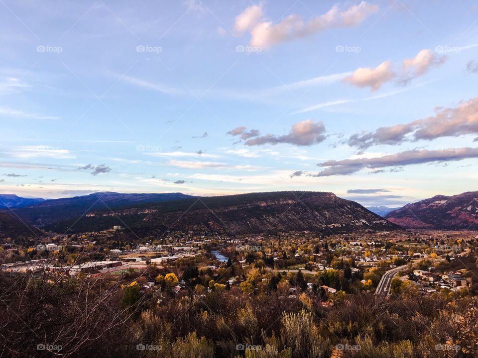 High angle view of autumn trees