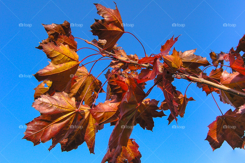 sky color autumn poland by bratmarx