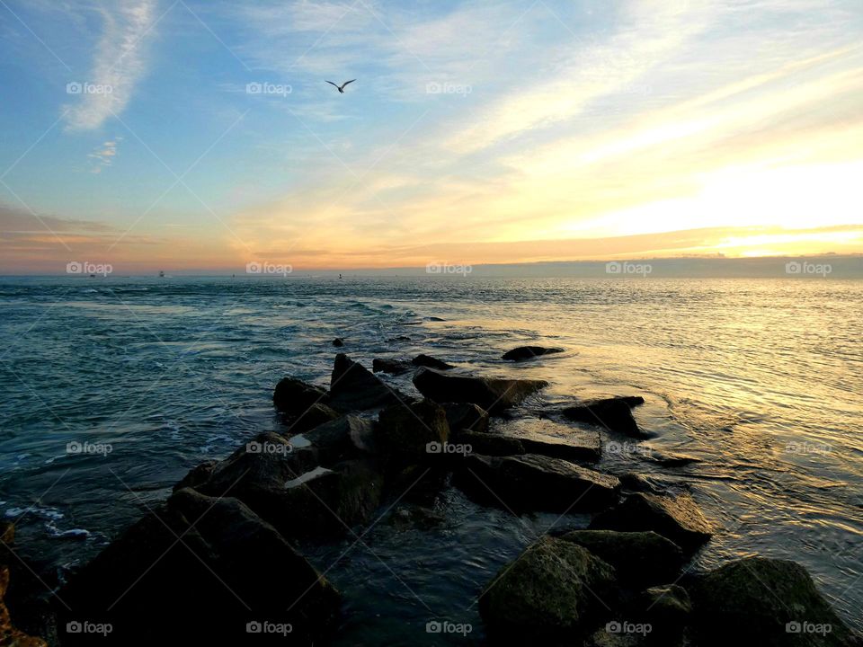 A beautiful sunrise photo on the Atlantic Ocean worth a bird flying overhead