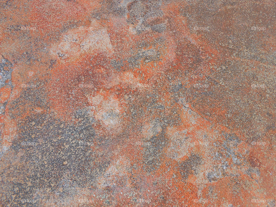 Concrete Pavement Texture