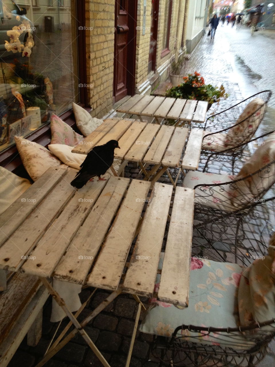 Pigeon on empty table outside rustic cafe  