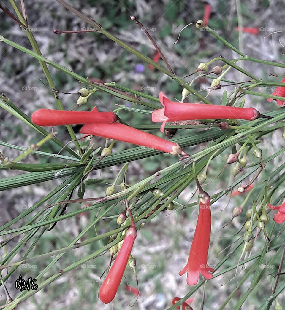 Minds are like flowers. If you let it sit there without soaking anything up, it will dry up

 — Ken Hill