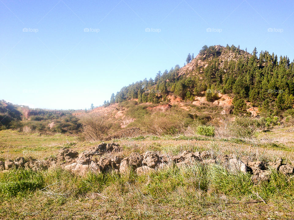 Ruta de los almendros en flor