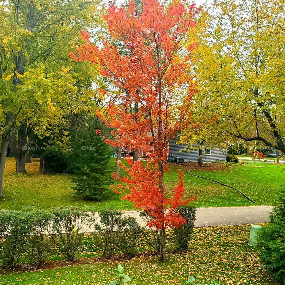 fall weather