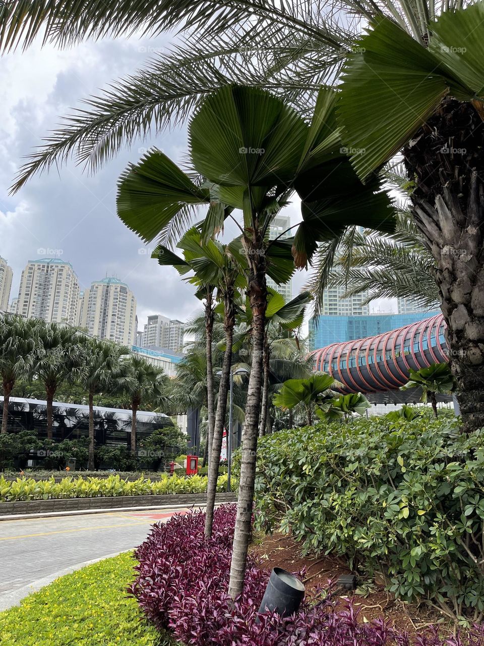 Beautiful cityvibes, shoot from lobby with plantation and buildings around in a cloudy day