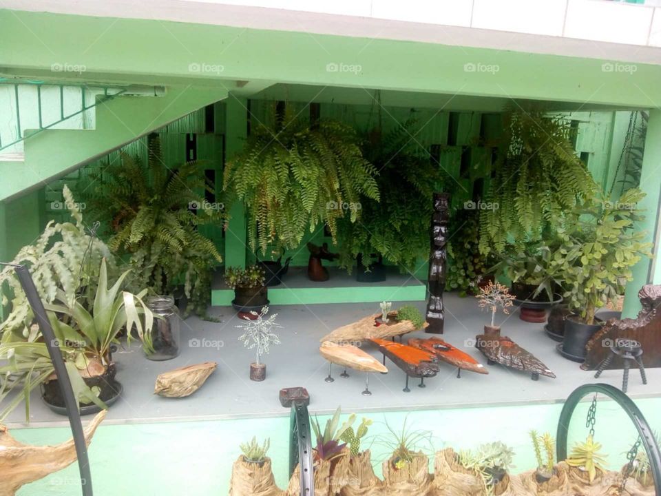 Decoração com plantas