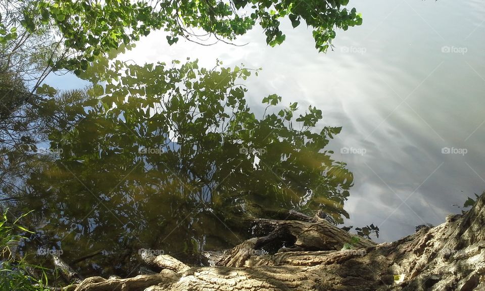 Water reflection