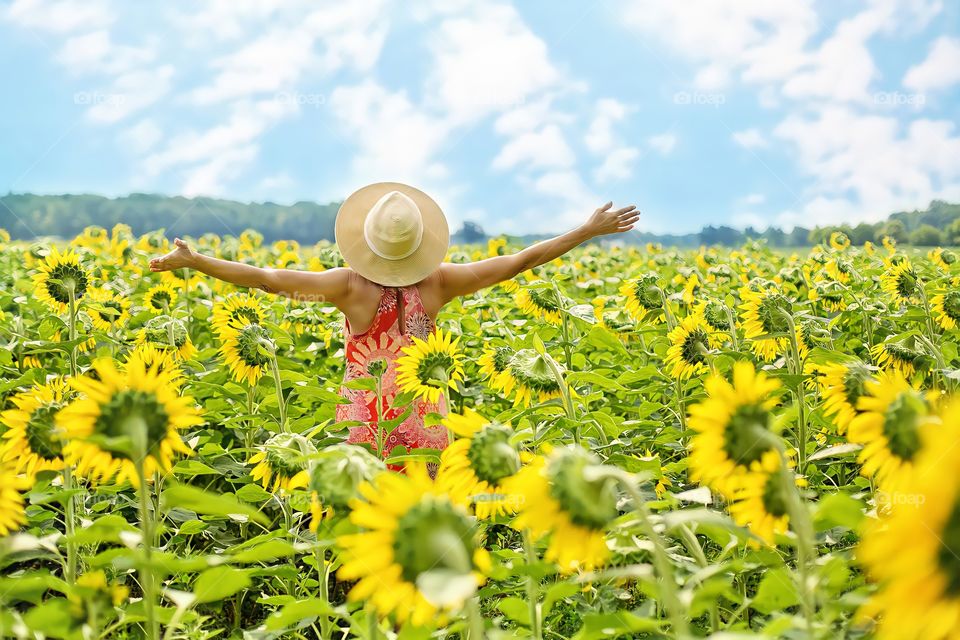 Back View of Woman in Sunflower Field.

Rear view of Caucasian woman in hat, standing with open arms in sunflowers fields.