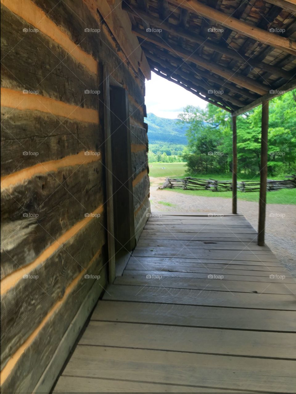 Cade's Cove 