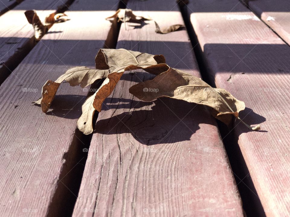 Closeup of dry fallen leaves on wooden porch floor 