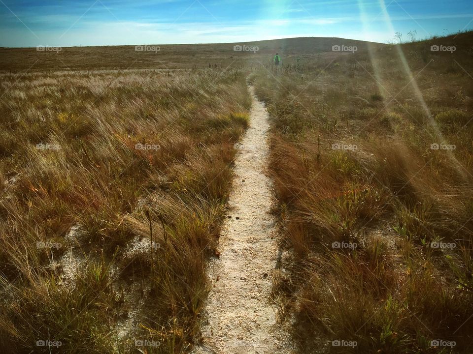 Adventure in Brazil (Track)