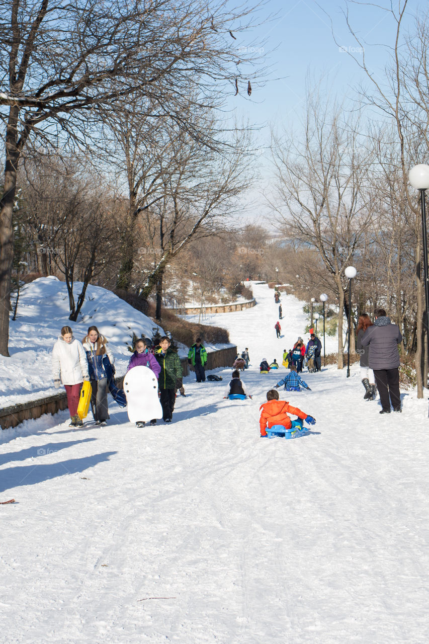 slide down the hill