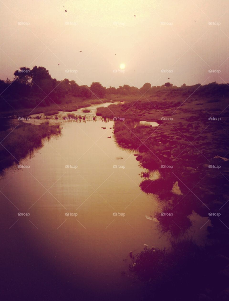 lovely evening photo,Photos of the sunset,better photos of the setting of the sun,beautiful photos of a cool evening evening,a beautiful view of the sun sets in the winter,a colorful photo of the evening,photos of the evening to be cherished