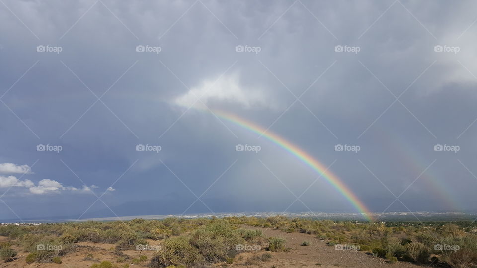 Desert Rainbow