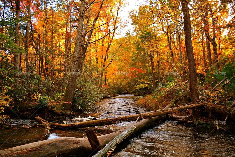 Battle: Summer vs Fall - Get up close and personal with the breathtaking and colorful leaves as you surround yourself with them on a hike. There’s nothing like strolling on a path by the stream blanketed by red, orange and yellow leaves. 