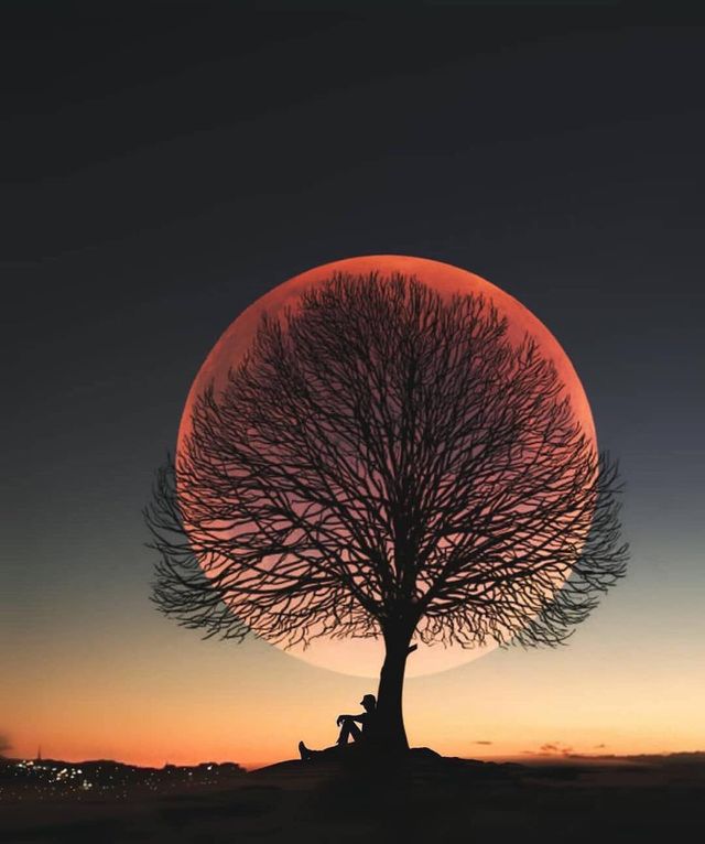 vista