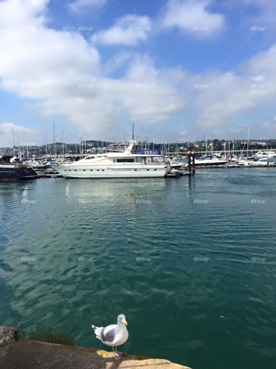 Harbour Devon England 