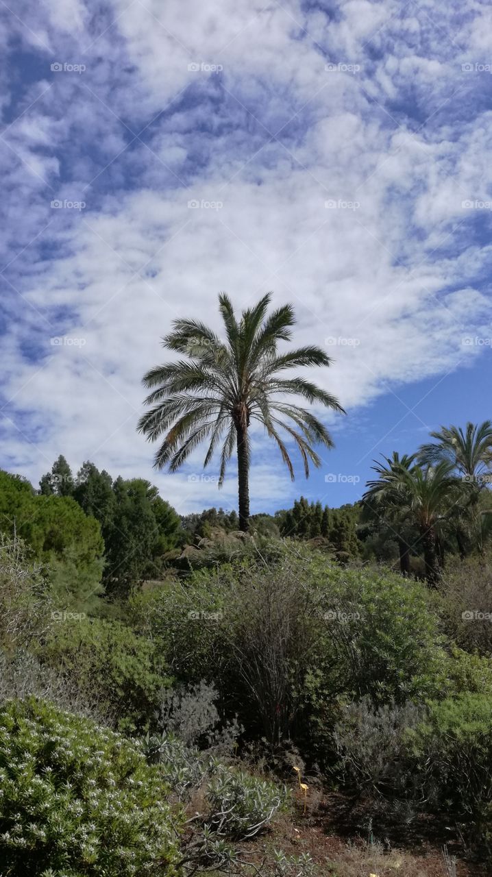 Arte Naturaleza Barcelona