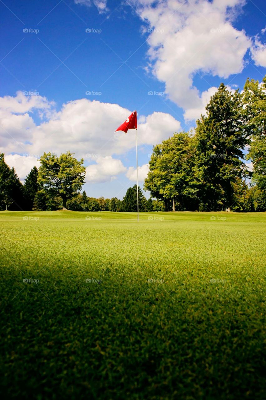 On the green. A red flag on the green on a summer day 