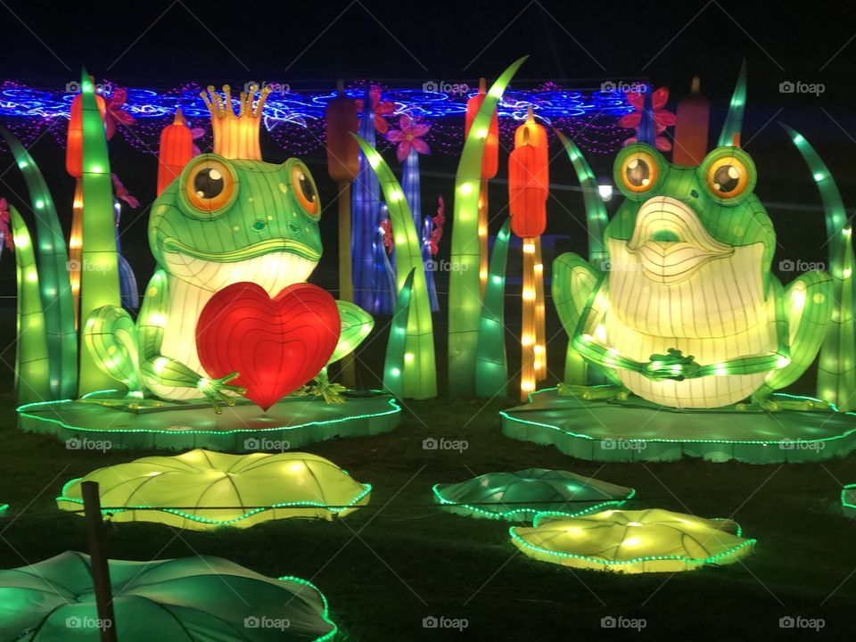 Frogs at the lantern festival