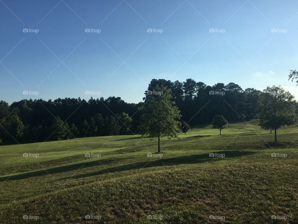 Park in Georgia USA 