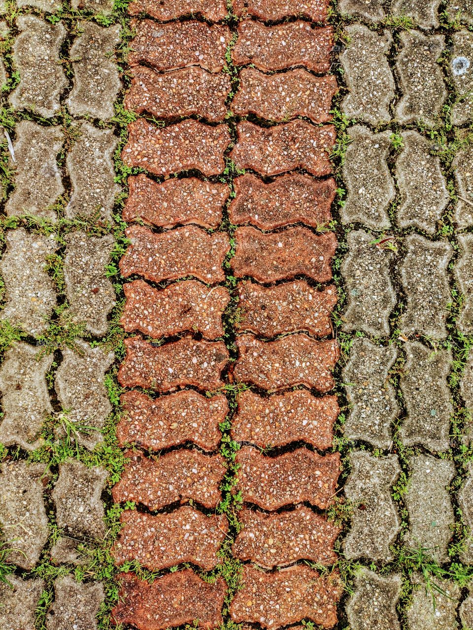 Deu brecha, plantas.