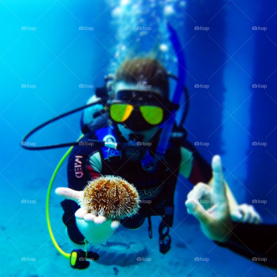Exploring the local sea urchin population while diving in the Caribbean