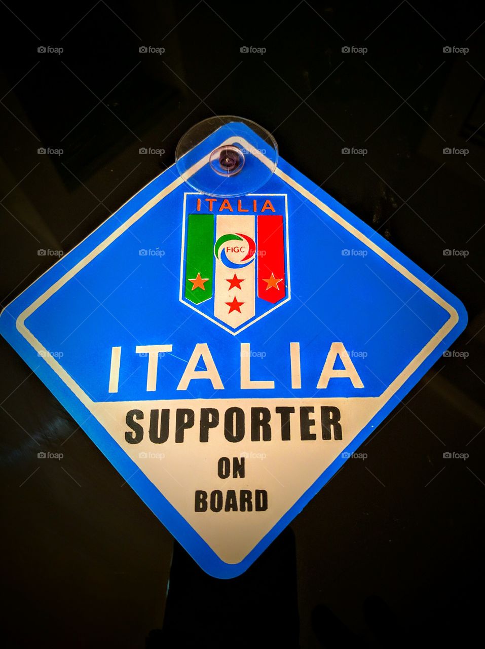 Italia FIGC FIFA Soccer