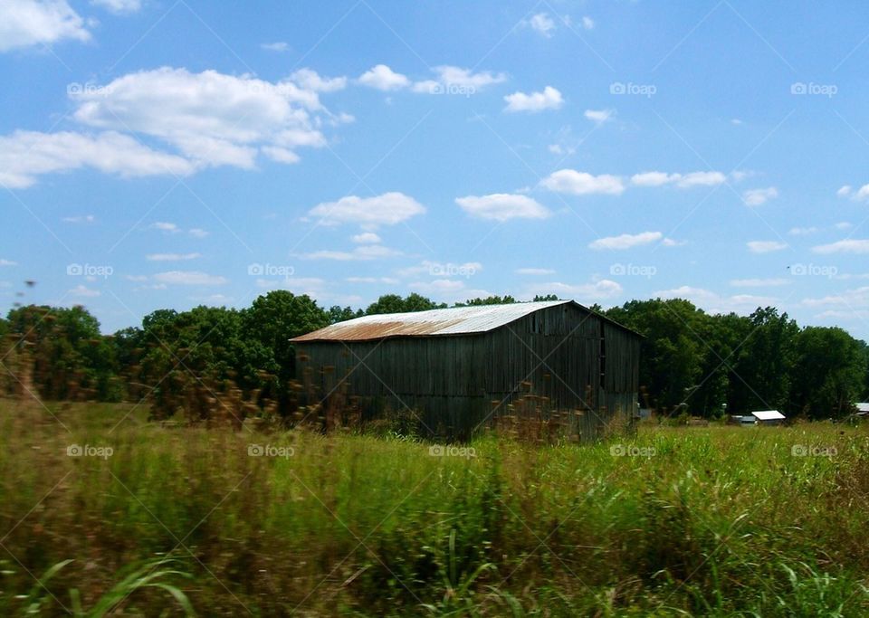 Barn