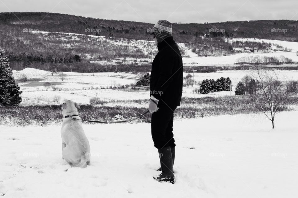 A Walk in the Snow