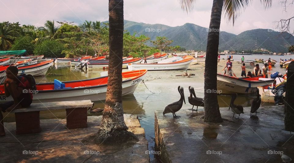 beautiful beach in Ocumare de la Costa in Aragua Venezuela.