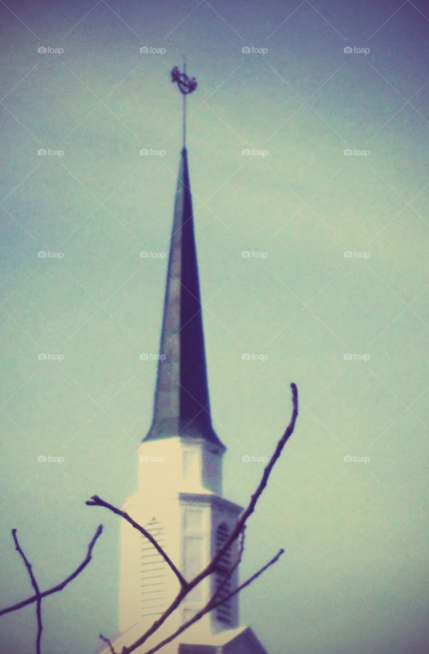 Birds on a church steeple.