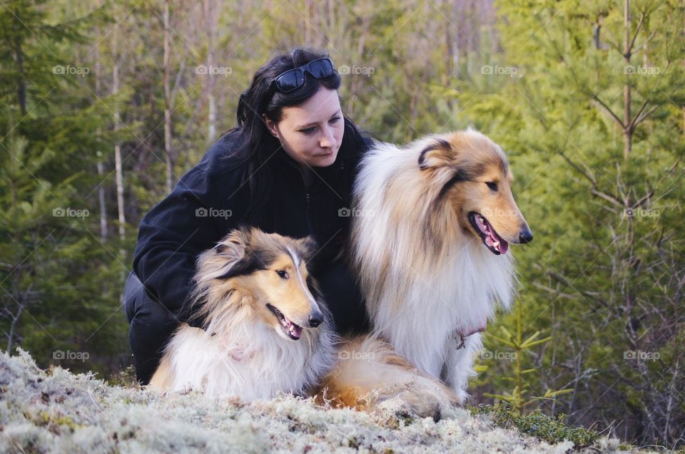 Portrait, Nature, Outdoors, Dog, Animal