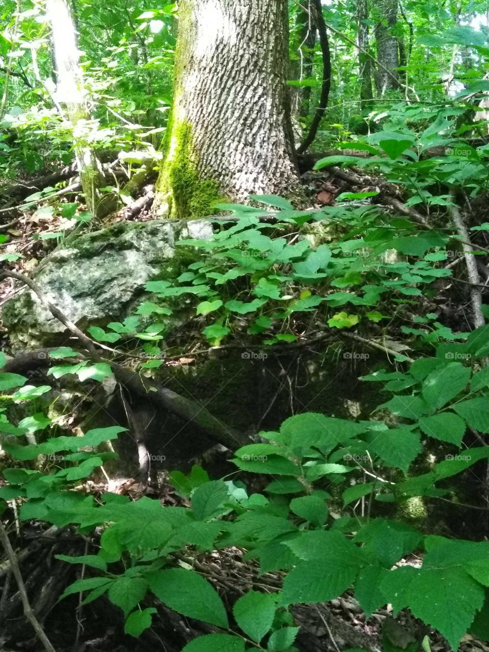 Spring time is so beautiful