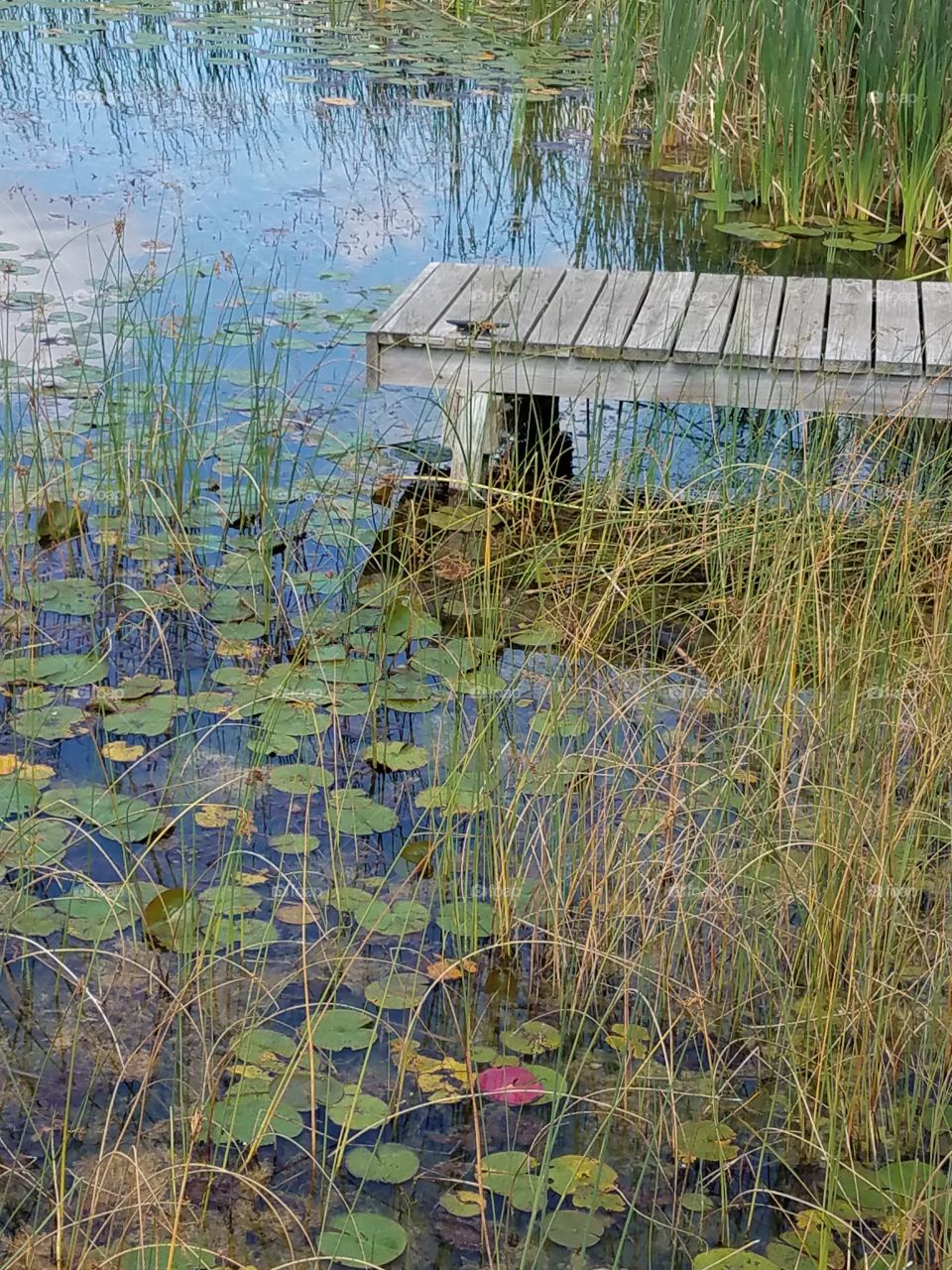 shallow dock