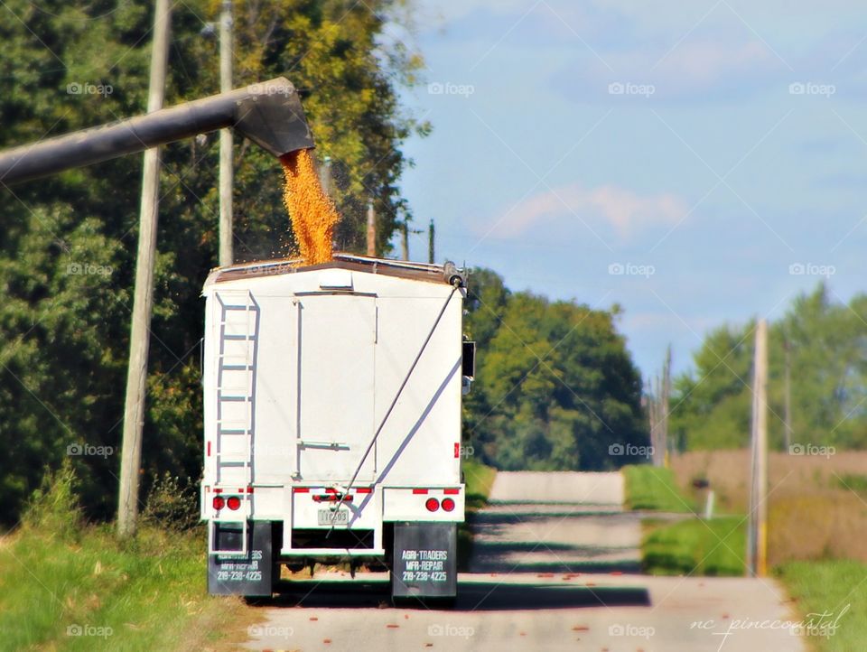 Grain truck in Indiana countryside