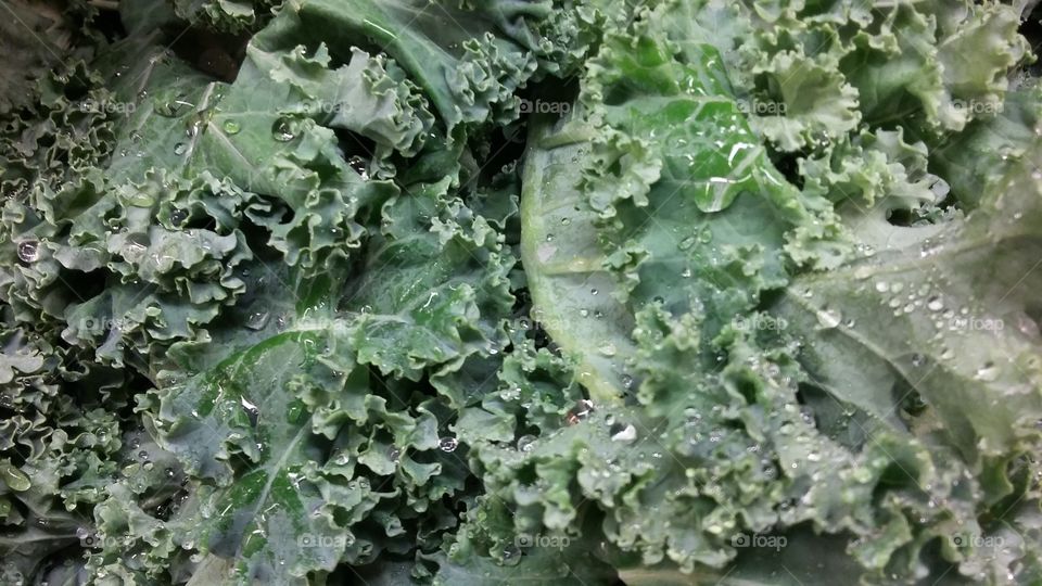 Green kale