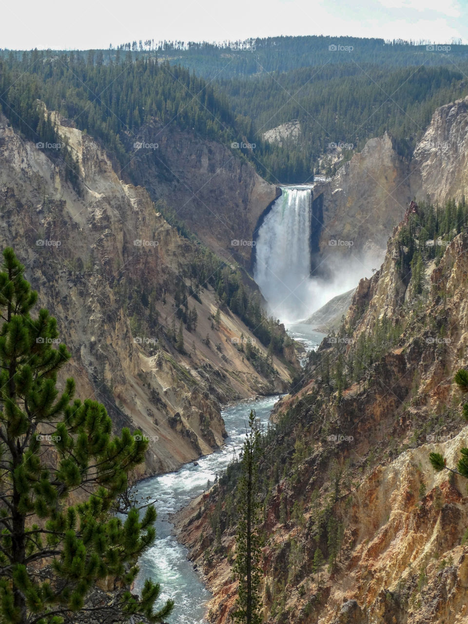 The famous Yellowstone River waterfall in Yellowstone National Park, Wyoming. The yellow cliffs on either side give the river and park their name.