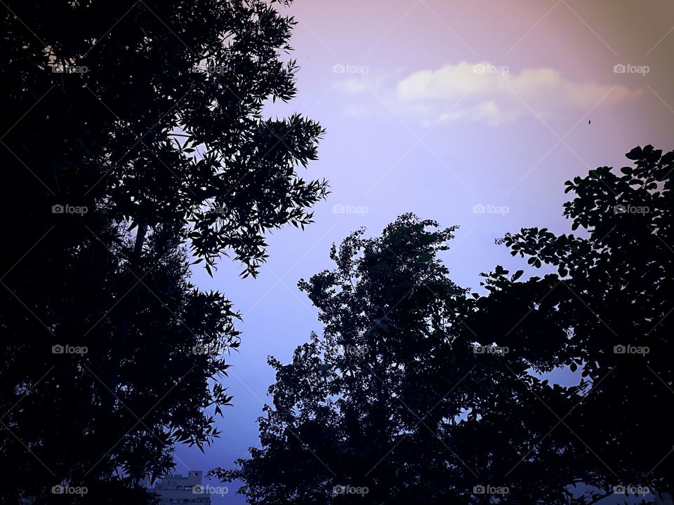 Beautiful View, Nature, Sky