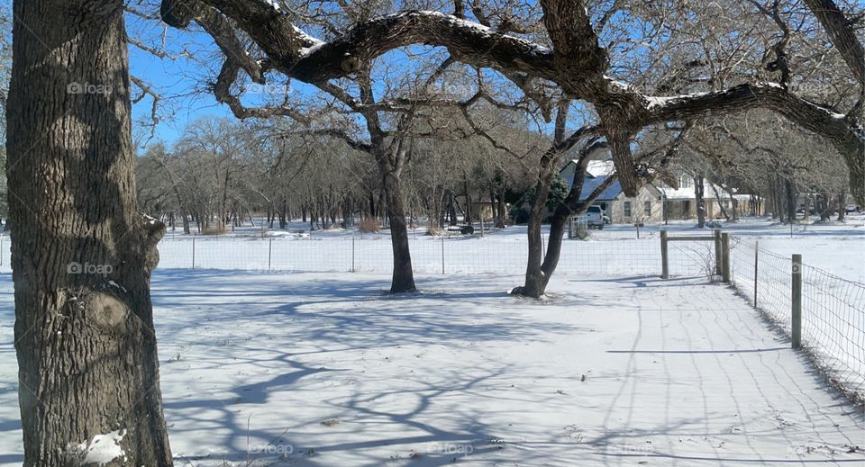 Snow in Texas 