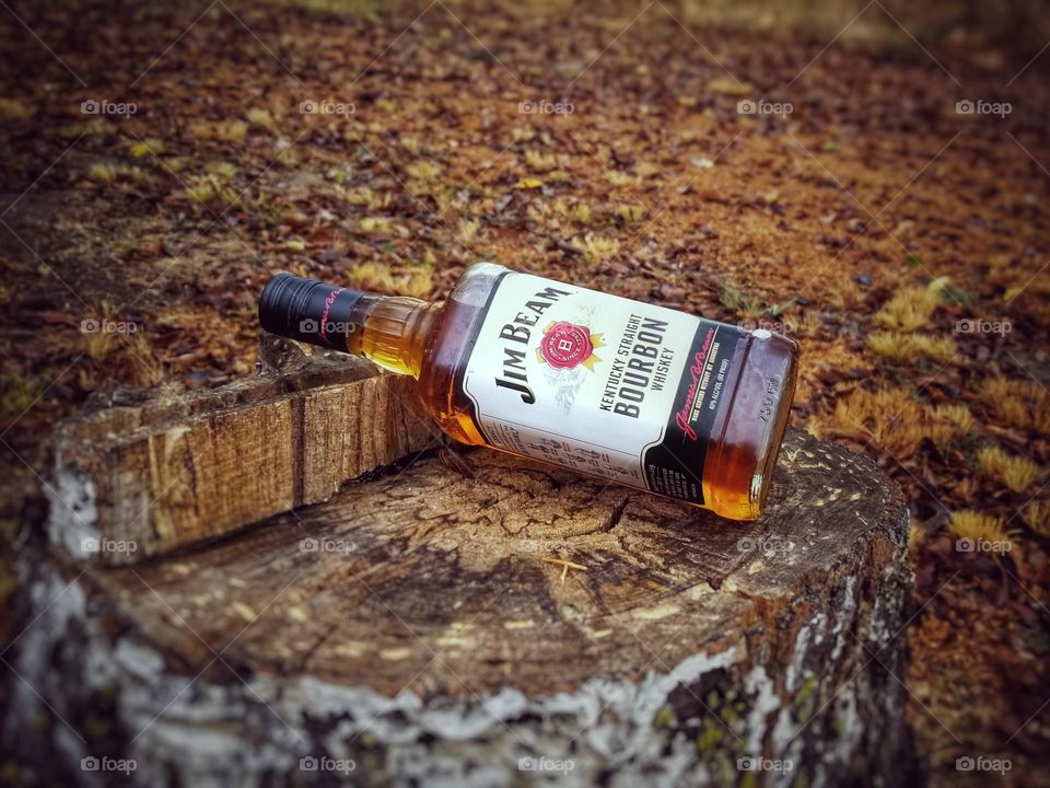 Jim Beam Bottle on a Stump Outside in Fall