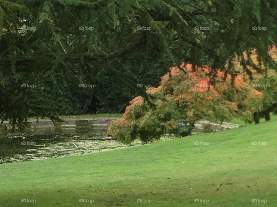 Autumns on the way. Beautiful colours around a pound