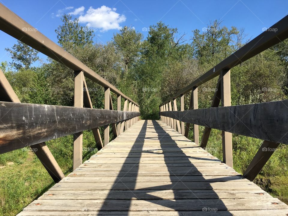 Bridge, Wood, Nature, Tree, Park