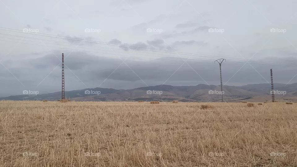 cloudy