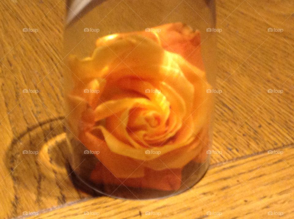 Rose under wine glass